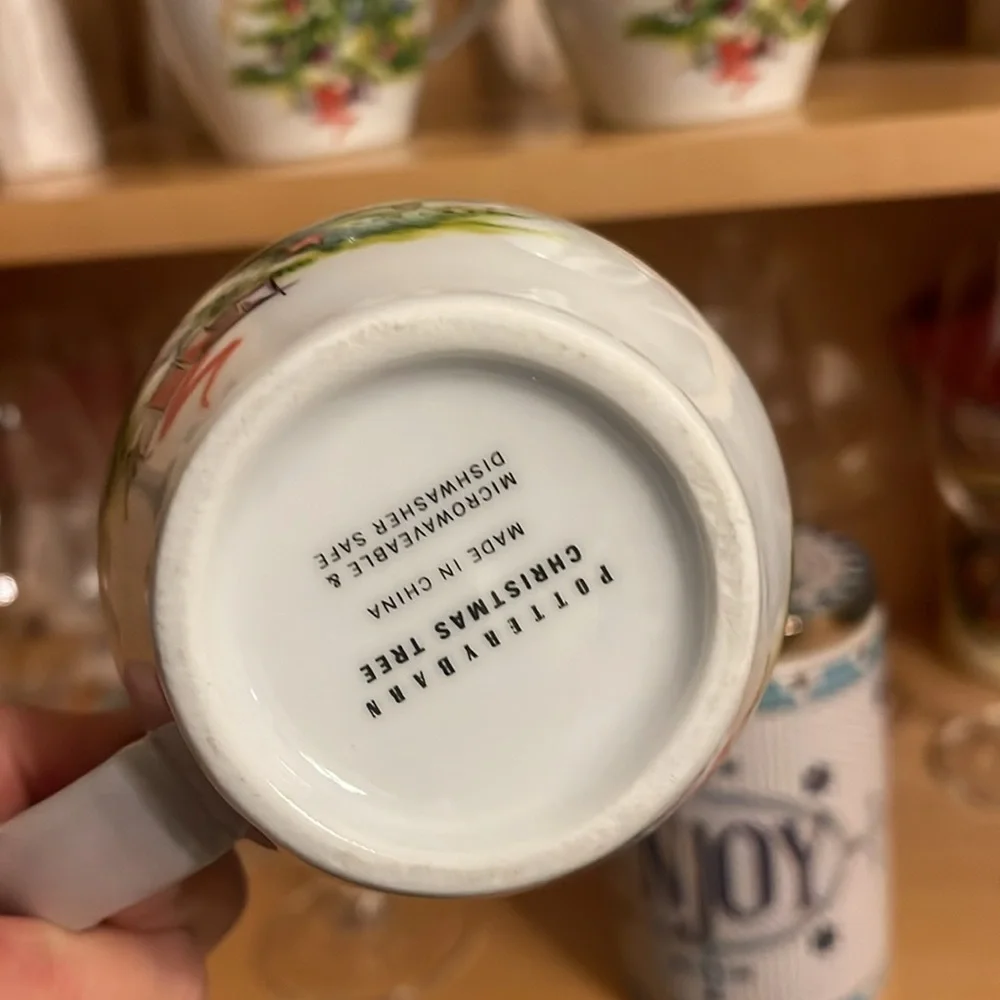 Pottery Barn unused set